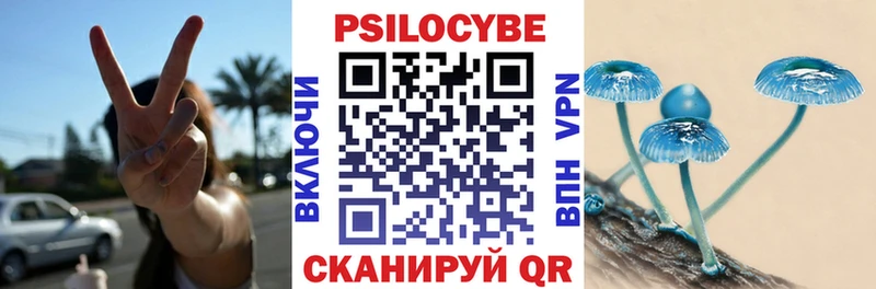 Псилоцибиновые грибы Psilocybe Челябинск