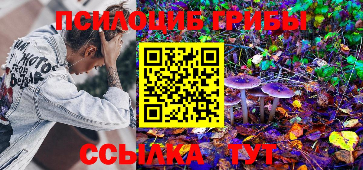 Псилоцибиновые грибы мицелий  Вход с VPN  Челябинск 